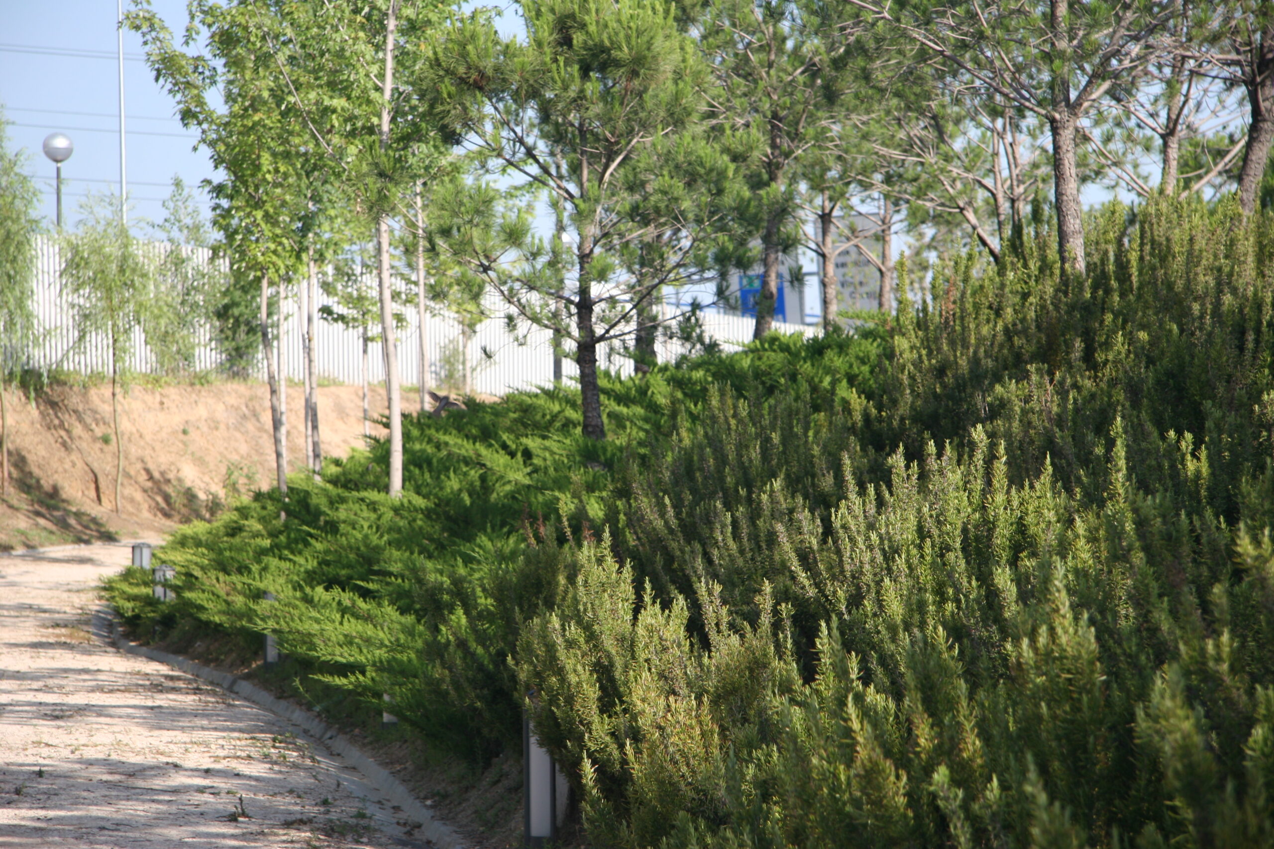 2006 Parque de la Ballena (15)