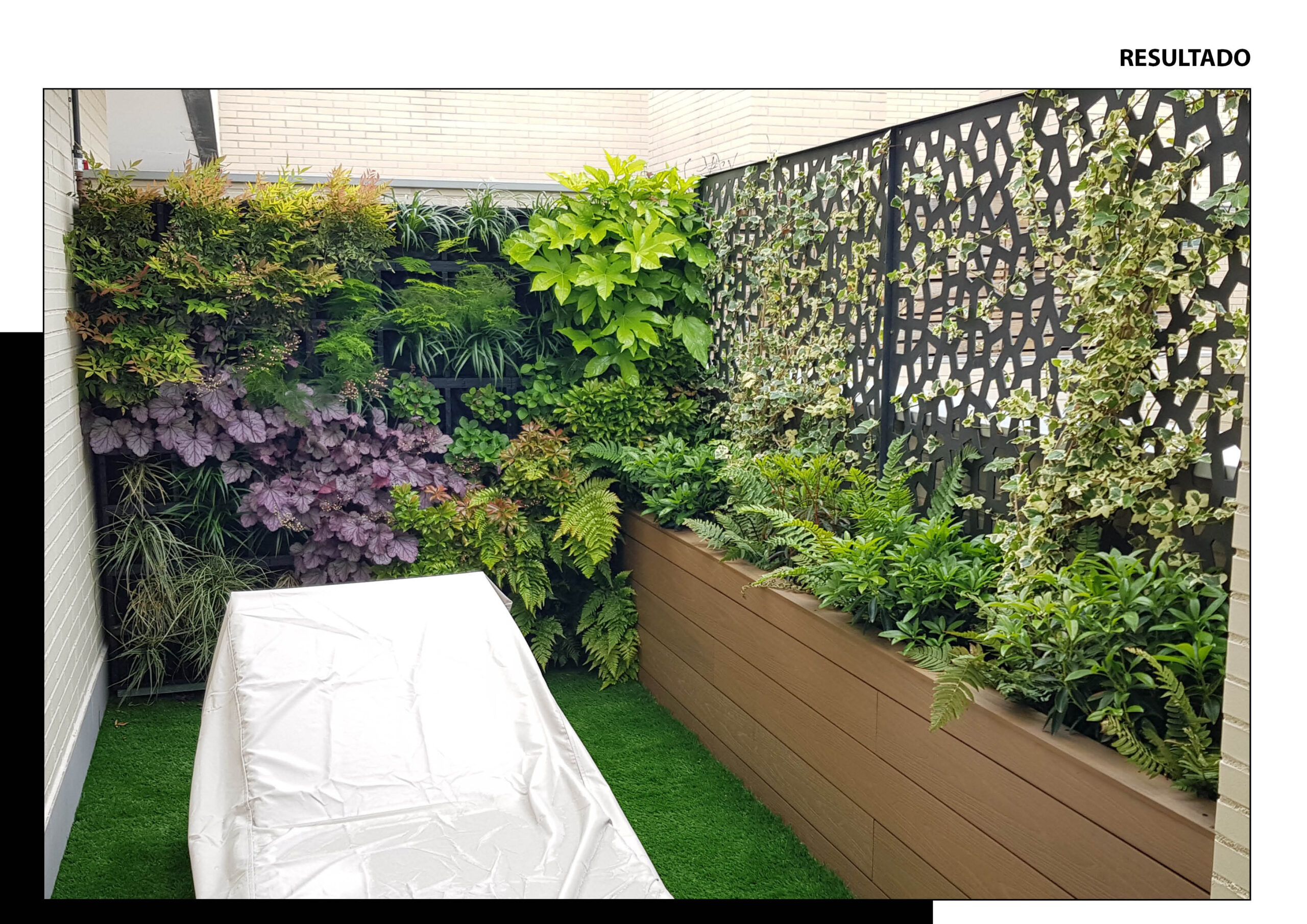 Plantas para cubiertas verdes en Madrid