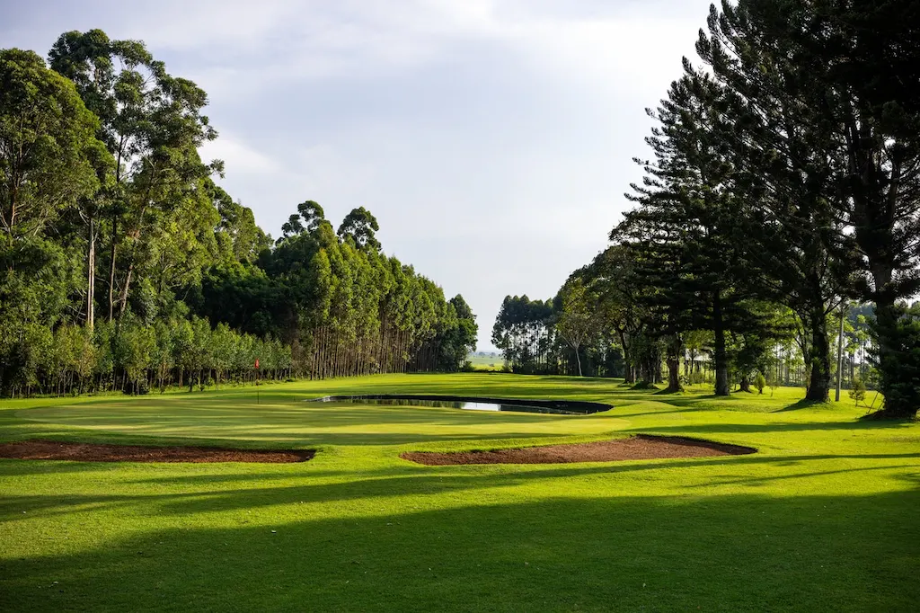 paisajismo para campos de golf en madrid