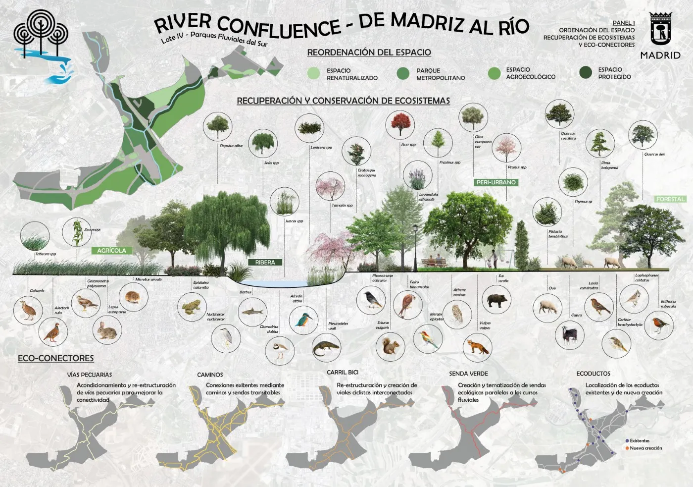 Bosque metropolitano final panel de concurso página 1