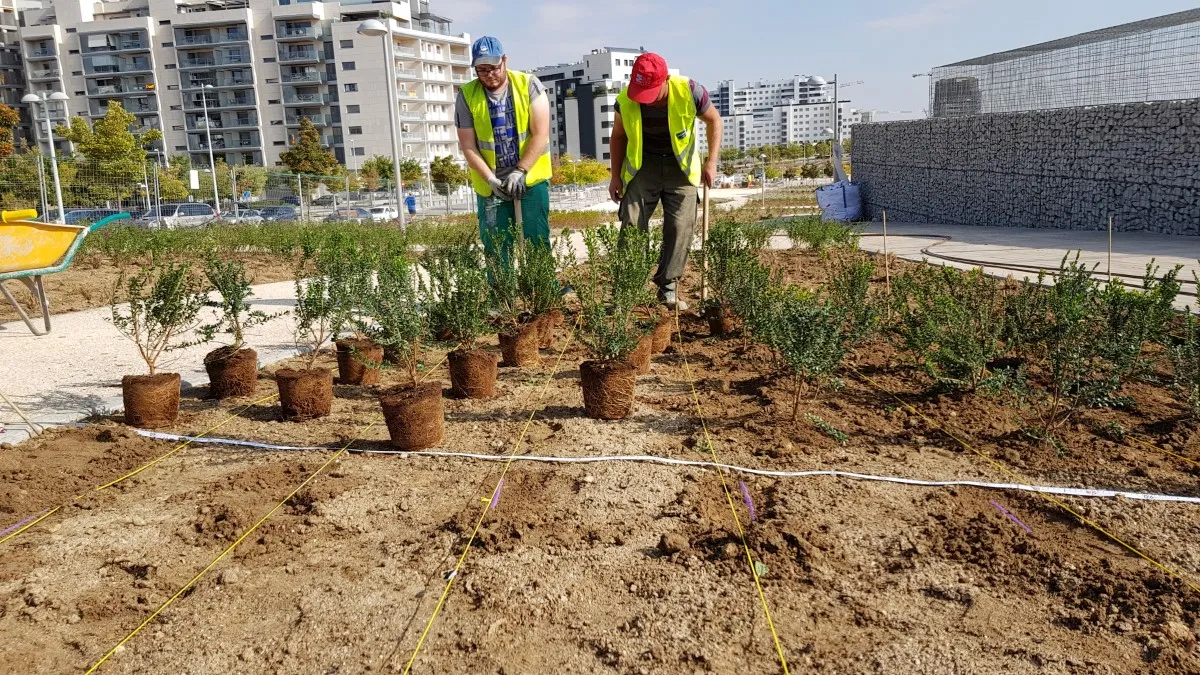 Fuc valdebebas tÉcnico ejecución (6)