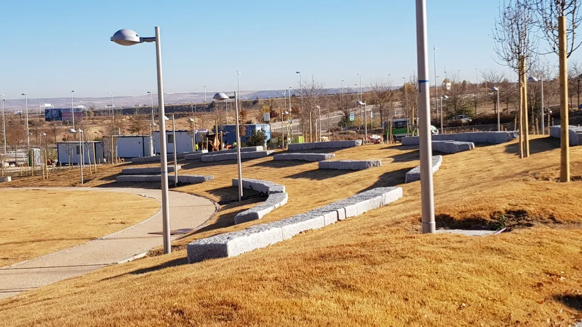 Fux valdebebas final zoysia (1)