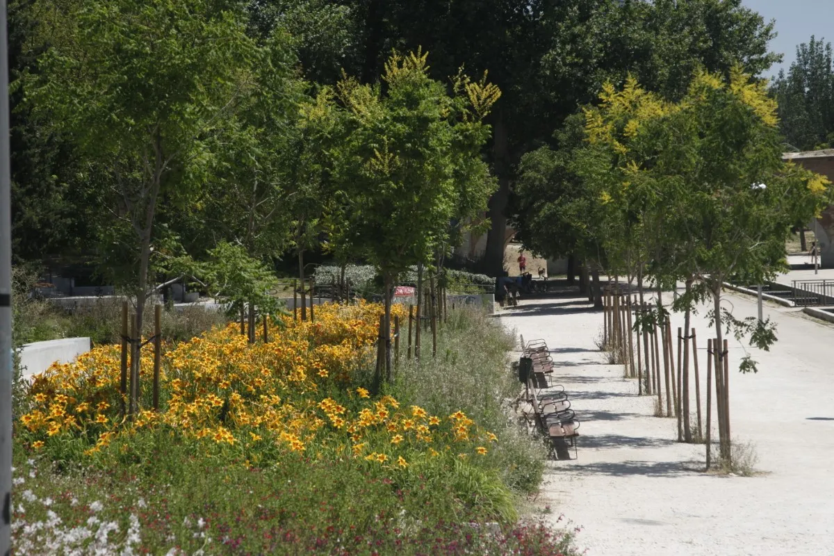 Parque de los pinos final (1)