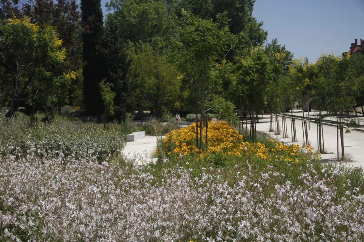 Parque de los pinos final (2)