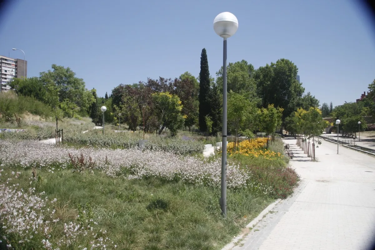 Parque de los pinos final (3)