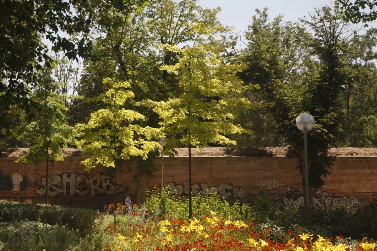 Parque de los pinos final (5)