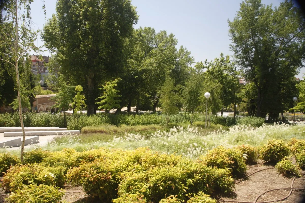 Parque de los pinos final (6)
