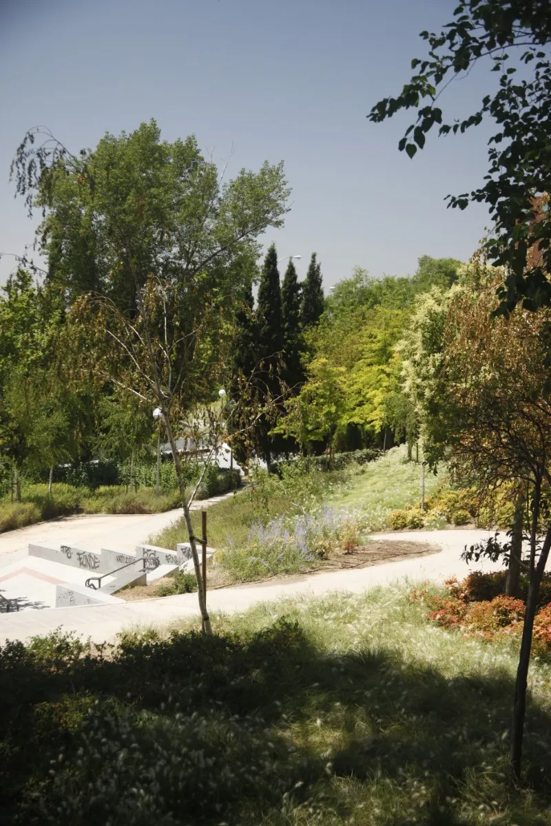 Parque de los pinos final (8)