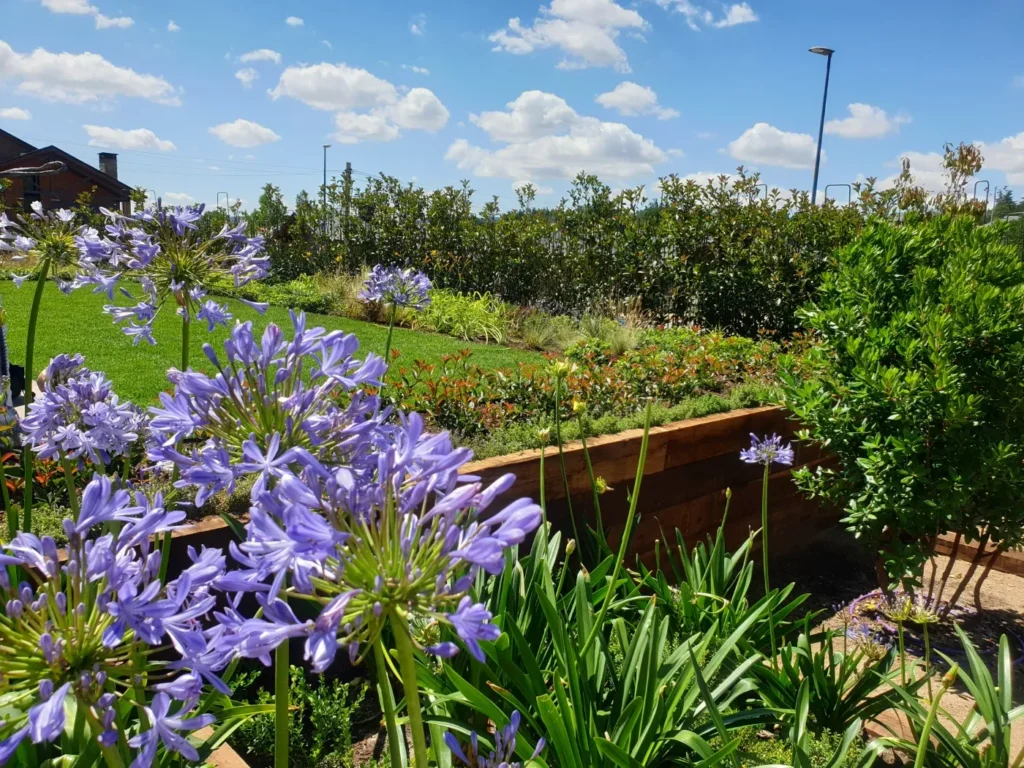 Jardín en madrid (personalizado)