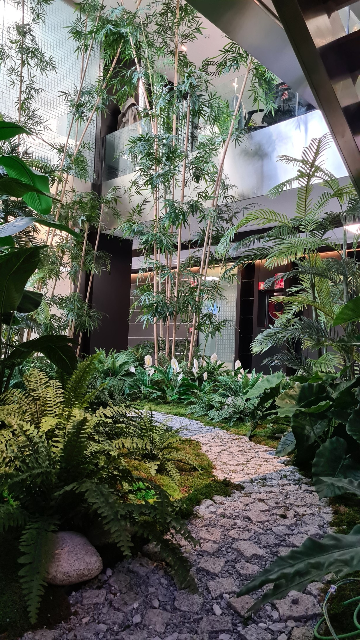 Interior oficinas jardÍn horizontal artificial (5)