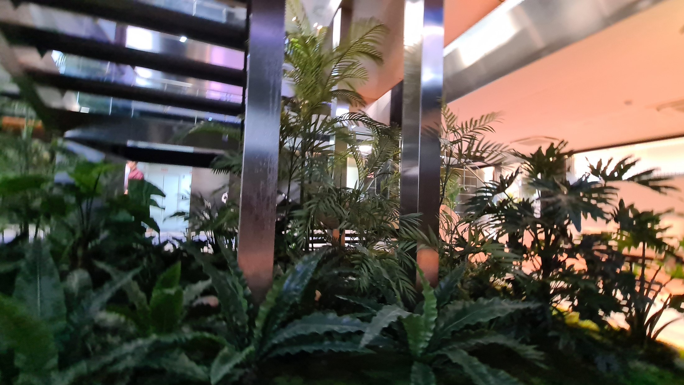 Interior oficinas jardÍn horizontal artificial (6)