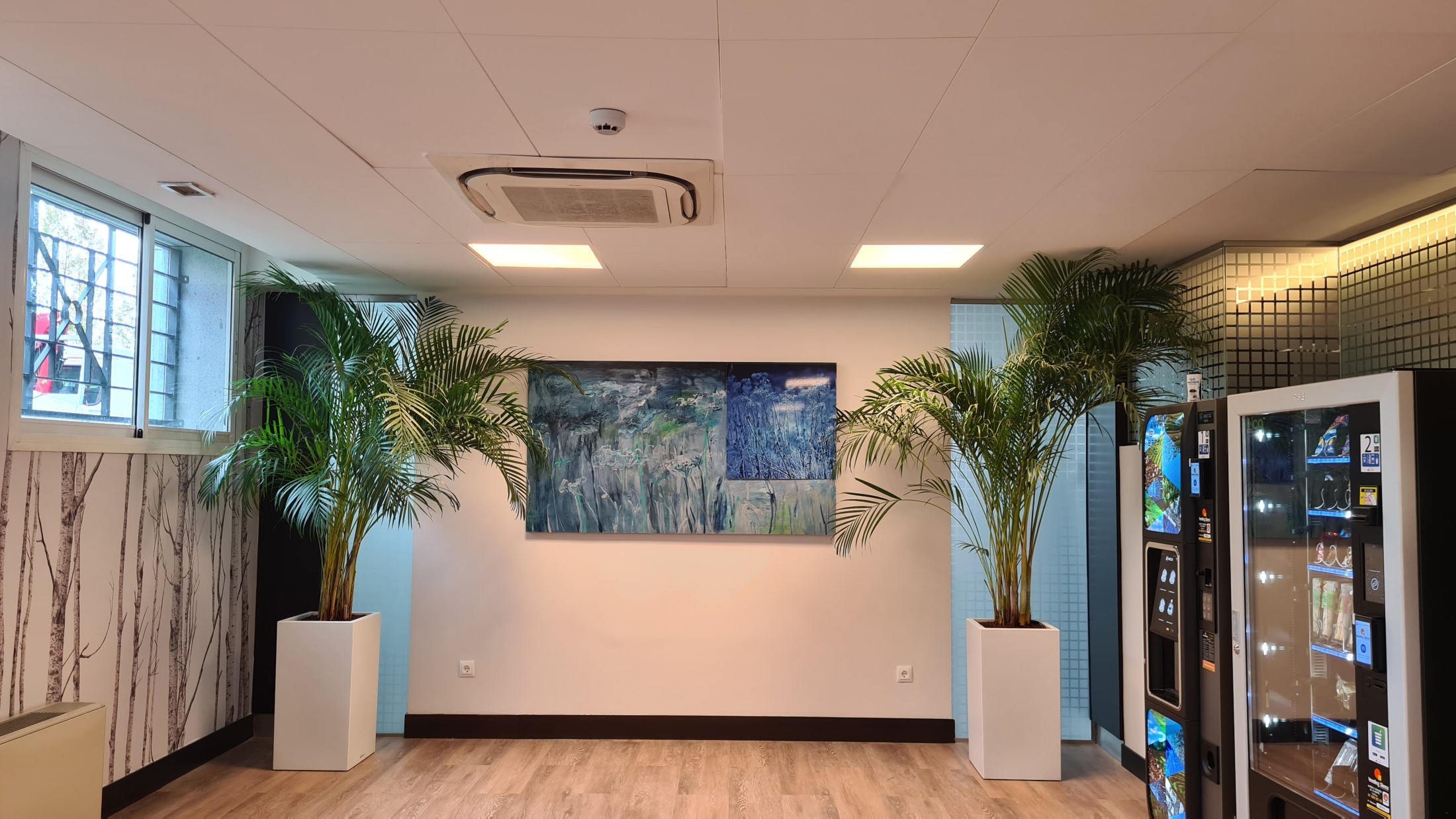 Interior oficinas jardineras naturales (1)