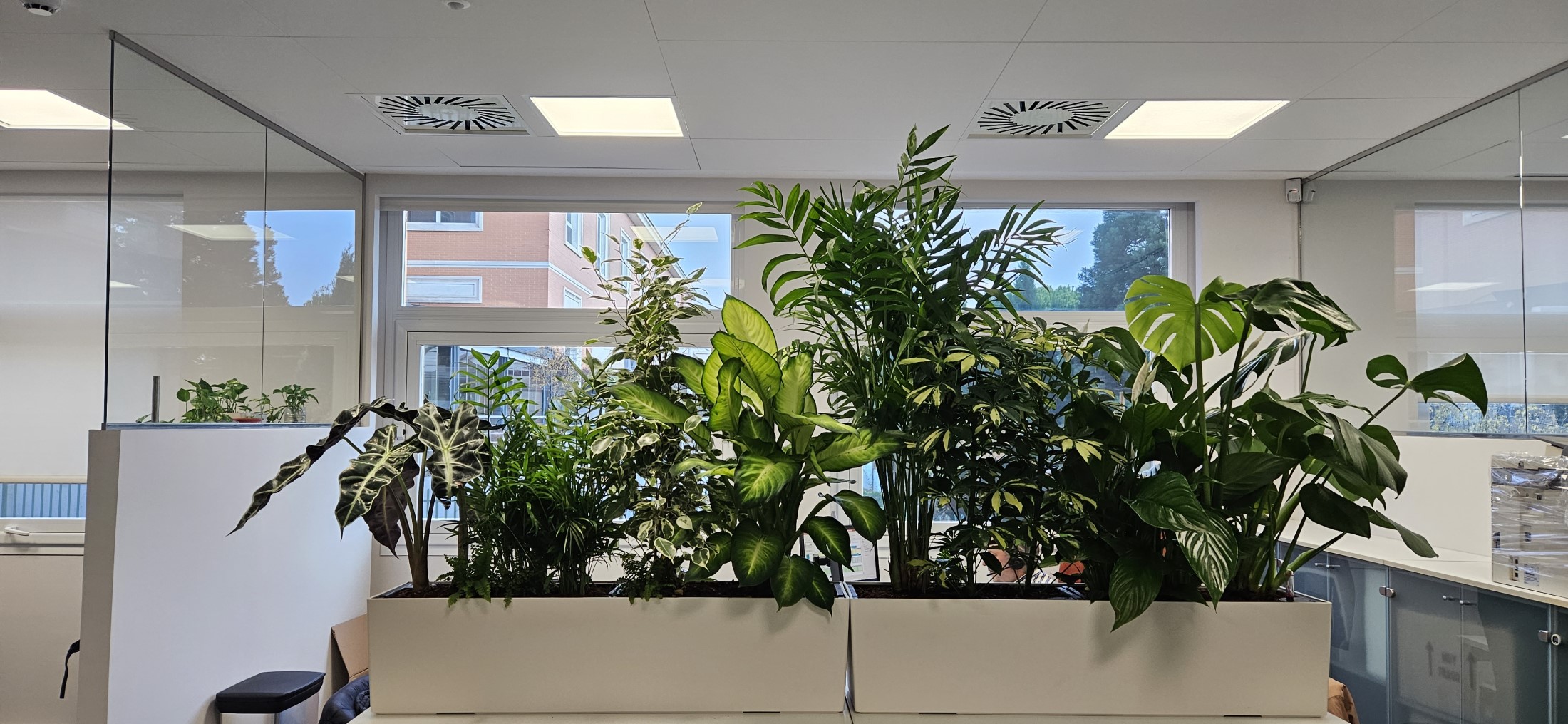 Interior oficinas jardineras naturales (12)