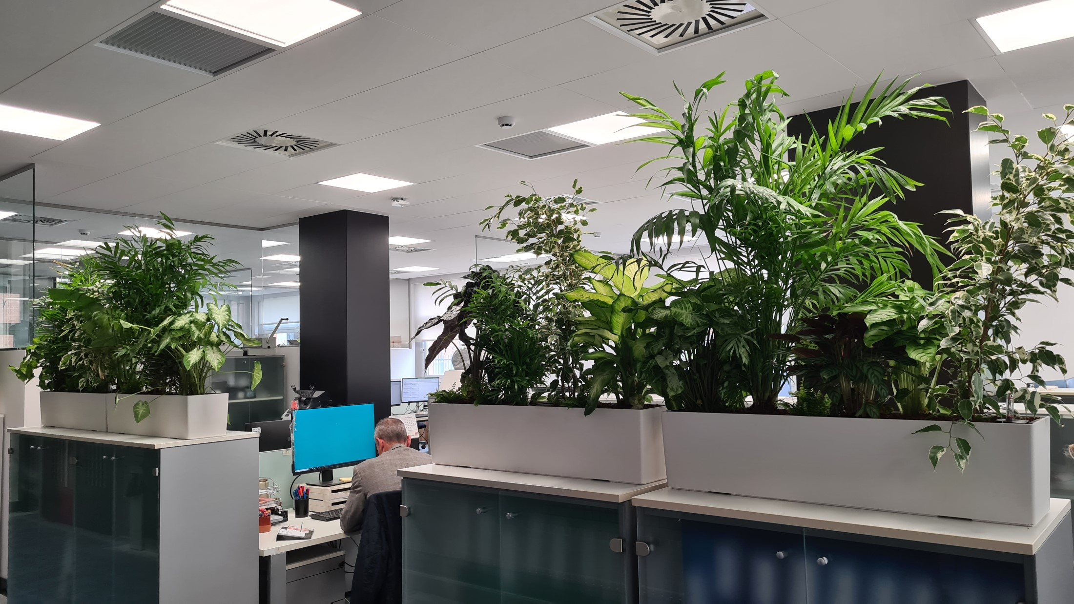 Interior oficinas jardineras naturales (6)