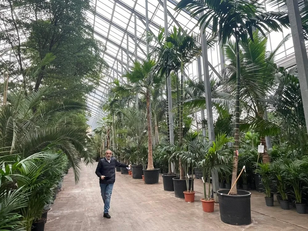 Vivero en holanda