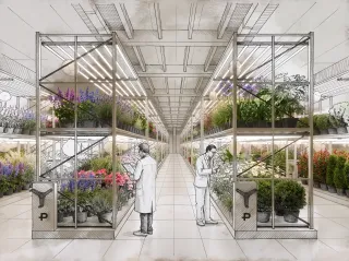 Laboratorio vegetal